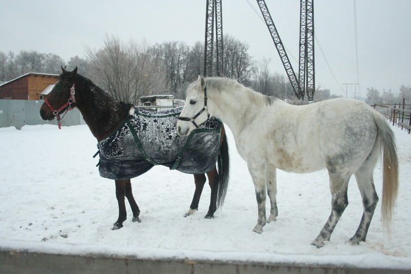 IMG_1874.jpg1.jpg"%20height="533"%20width="800